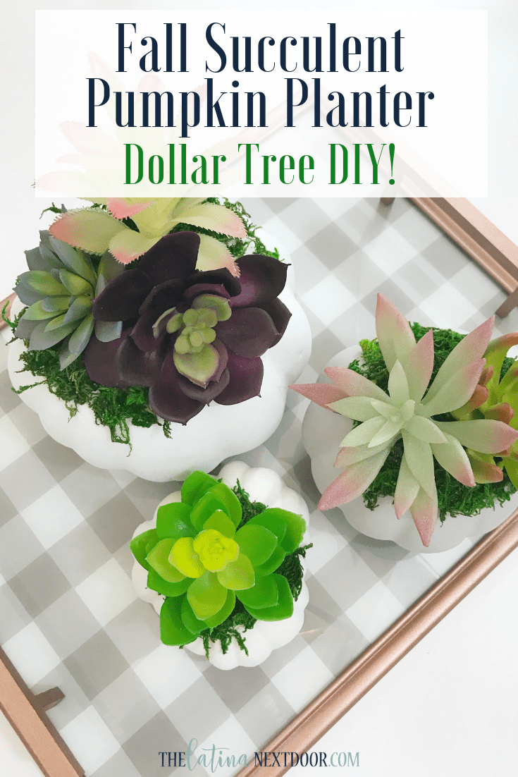 DIY Dollar Tree Fall Succulent Pumpkin Planter