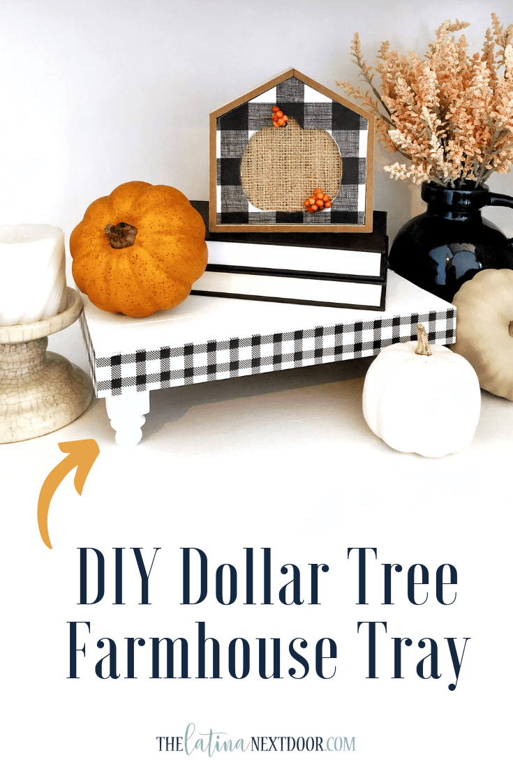 DIY Dollar Tree Farmhouse Tray